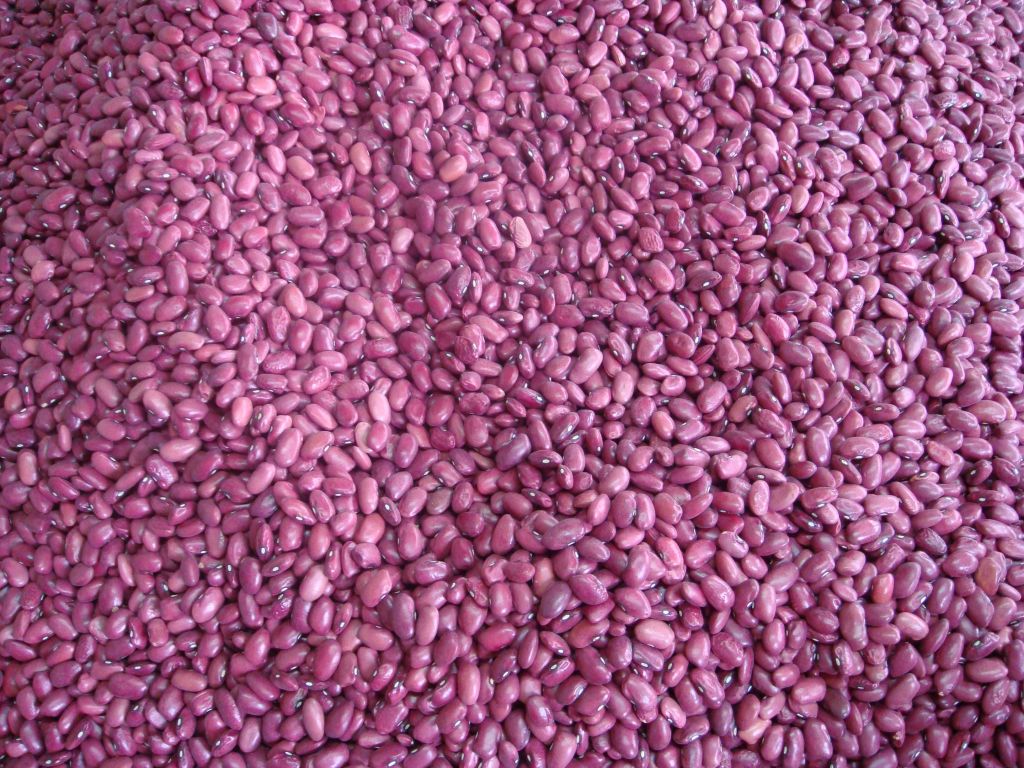CHINESE RED KIDNER BEANS