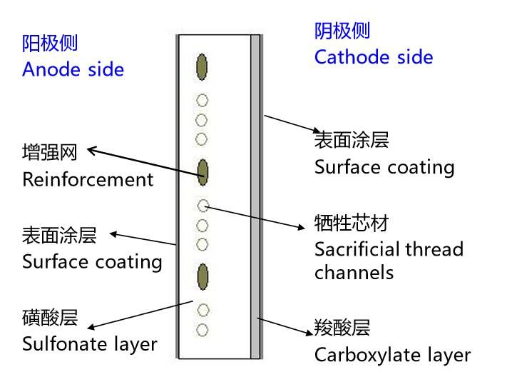 Ion-exchange membranes for Chlor-Alkali Industries