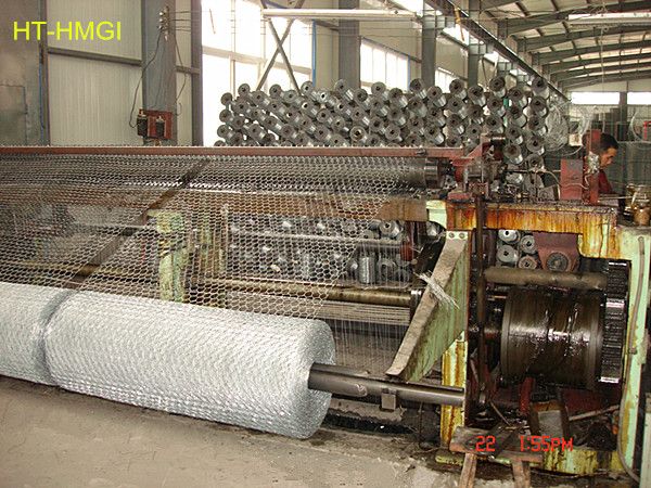 Professional Factory Heavy Hexagonal wire meshMade In China