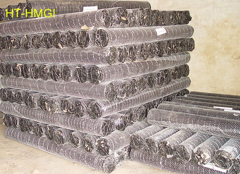 Professional Factory Heavy Hexagonal wire meshMade In China