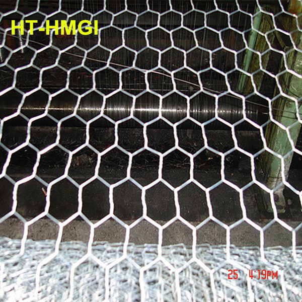 poultry wire netting/poultry netting fence/poultry nethexagonal wire mesh