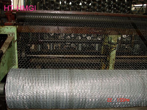 Professional Factory Heavy Hexagonal wire meshMade In China