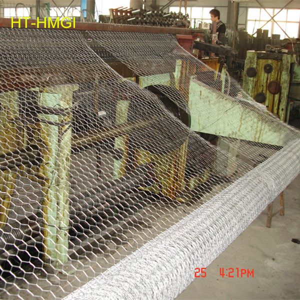 poultry wire netting/poultry netting fence/poultry nethexagonal wire mesh