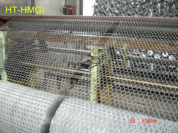 poultry wire netting/poultry netting fence/poultry nethexagonal wire mesh