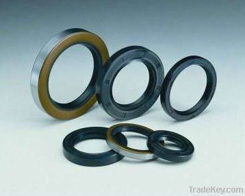 viton oil seal