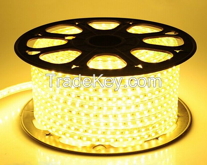 110V 220V rgb ip65 LED strip light