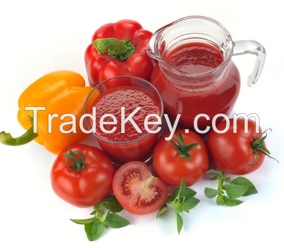 Double Concentrated Tomato Paste/tomato ketchup