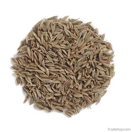 High Quality Cumin Extract