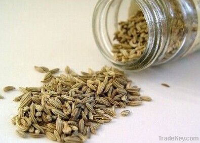 High Quality Cumin Extract