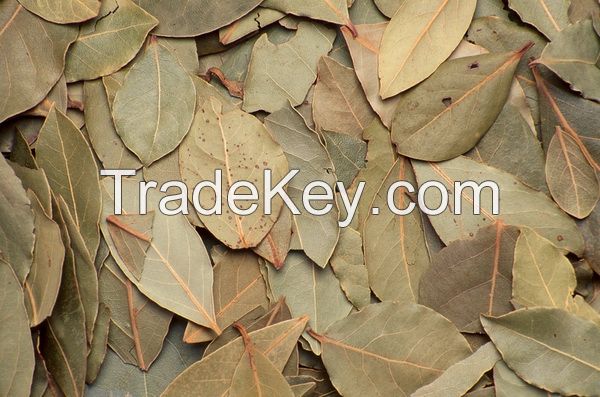 Bay leaf Organic whole/powder