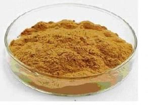 Rhodiola Rosea Extract