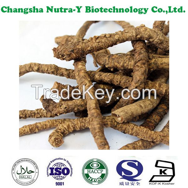 Rhizoma Picrorhizae Extract,Picrorhiza Rhizome Extract,cas no.39012-20-9 / picroside II 5% 