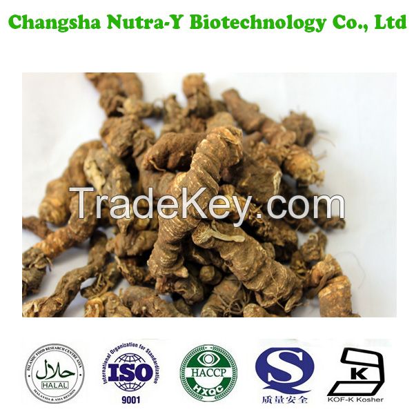 Rhizoma Picrorhizae Extract,Picrorhiza Rhizome Extract,cas no.39012-20-9 / picroside II 5% 