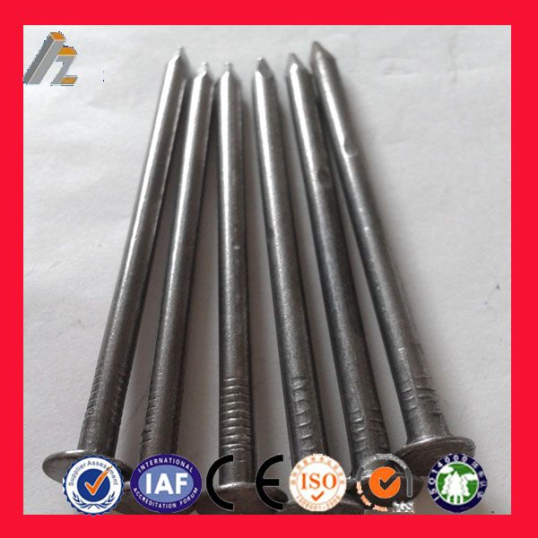 anping supplier common nails price(ISO9001 factory)