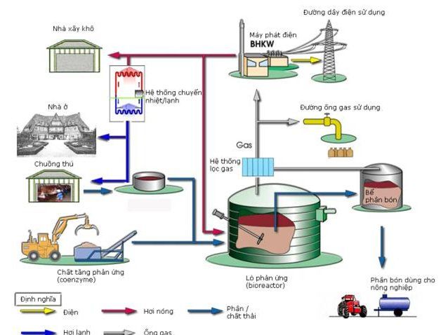 Biomass Power