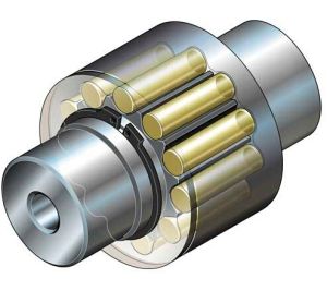 Flexible Pin &amp; Bush Couplings