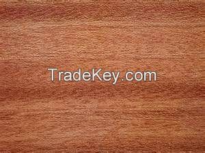 African Mahogany