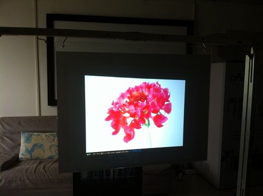 HD Natural Black Rear Projection Film/Black Rear Screen Film