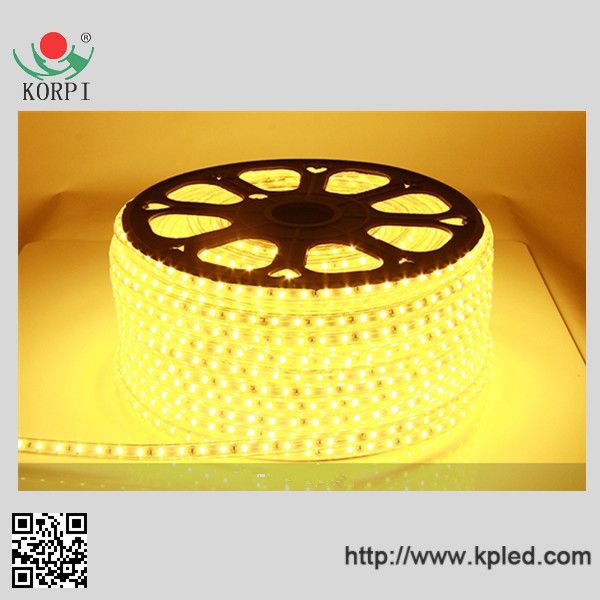 Hot sale 220V, 60led/m SMD5050 LED rope light of China supplier