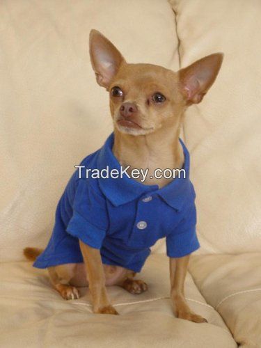 Pet Appreal Pet Polo Shirt