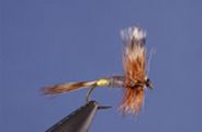 Dry fishing flies