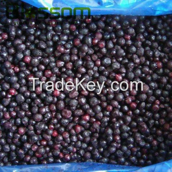 Supply frozen fruit frozen blueberry IQF blueberry