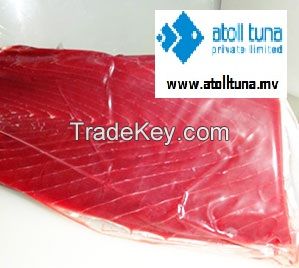 Fresh chilled Yellow fin Tuna