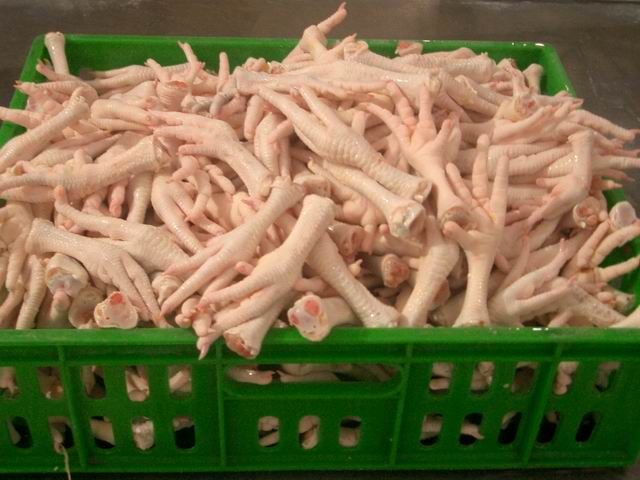 Frozen chicken feet Grade A