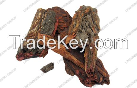 Pine Bark Extract