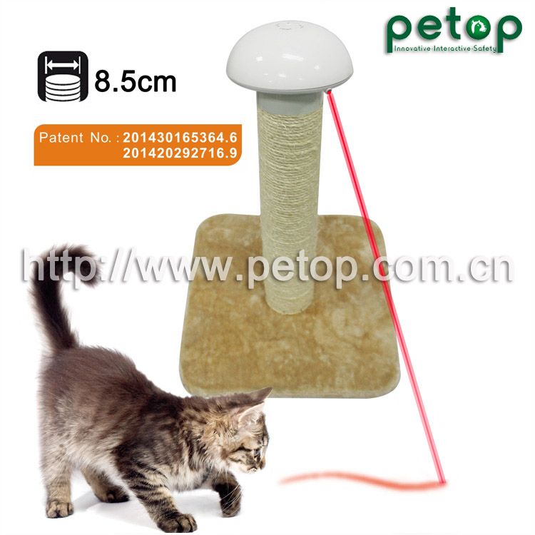 Active Pet Cat Toys