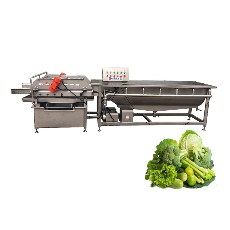 High Pressure Vortex Automatic Vegetable Washing Machine