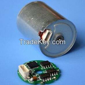 Series Professional BLDC Motor with High Quality