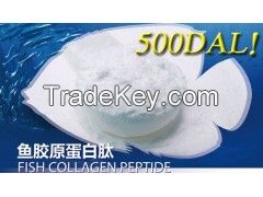 500D molecular weight fish collagen peptide