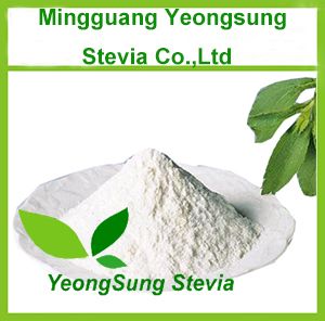 Stevia Extract Powder