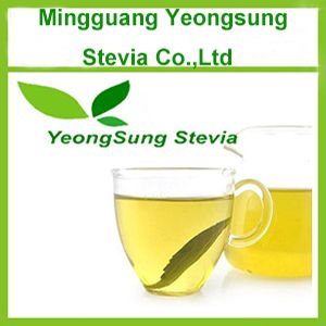 Natural Stevia Leaf Tea