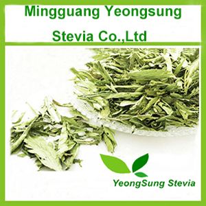 Stevia Dry Leaf