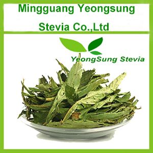 Stevia Dry Leaf