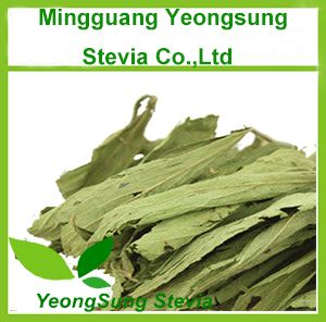 Sweet Stevia Dried Leaf