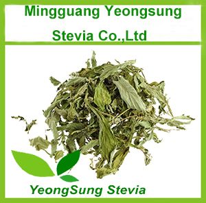 Sweet Stevia Dried Leaf