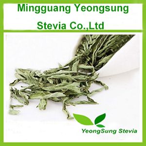 Natural Herbal Stevia Leaf