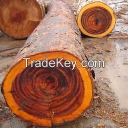 African Hardwood Logs