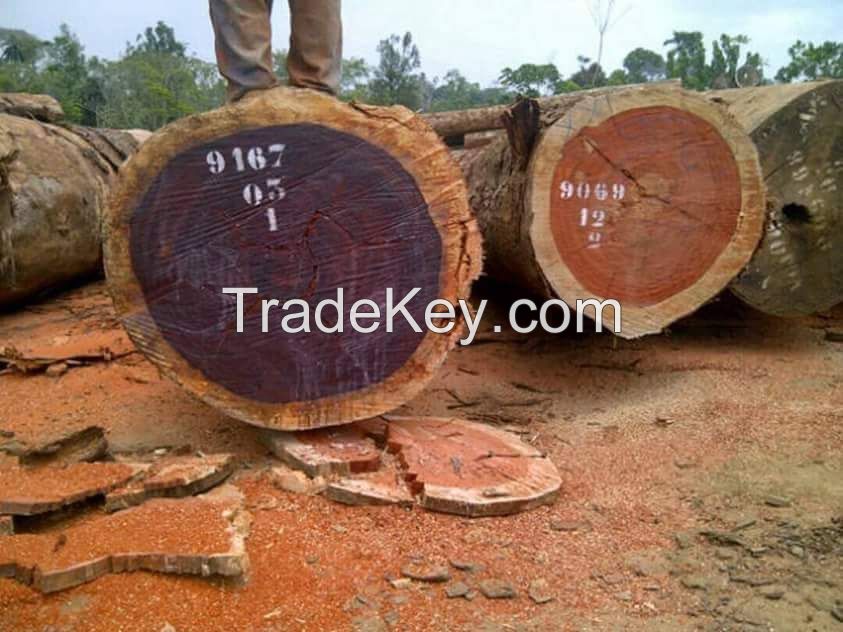 Teak,Tali,Padouk,Bubinga,Doussie and other African Woods Available