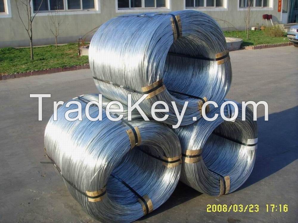 Galvanized Iron Wire 