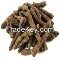 Long Pepper