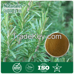 Rosemary Extract