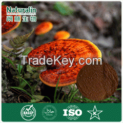 Ganoderma Extract