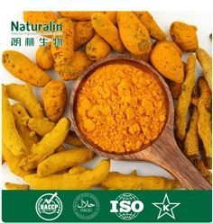 Turmeric Extract