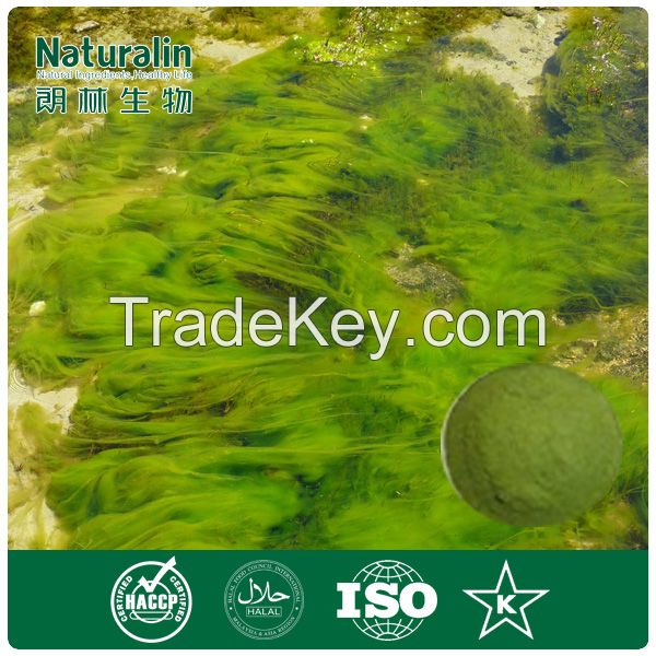 Chlorella  Extract