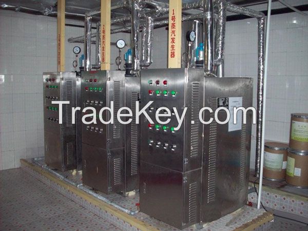 Electric Steam Generator