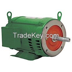 WEG Electric Motor Cast Iron Motor